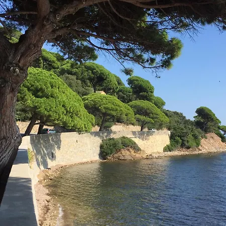 Coeur Ste Maxime Appt 46 M2 Vue