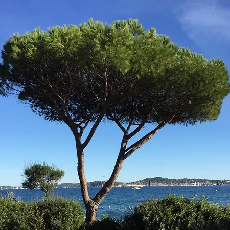 Coeur Ste Maxime Appt 46 M2 Vue *